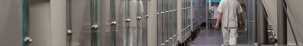 13 Section Banner.jpg